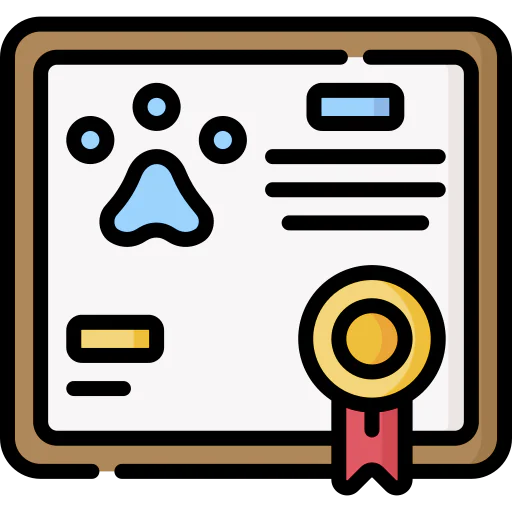 Certificate icon