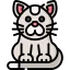 Cat icon 64x64