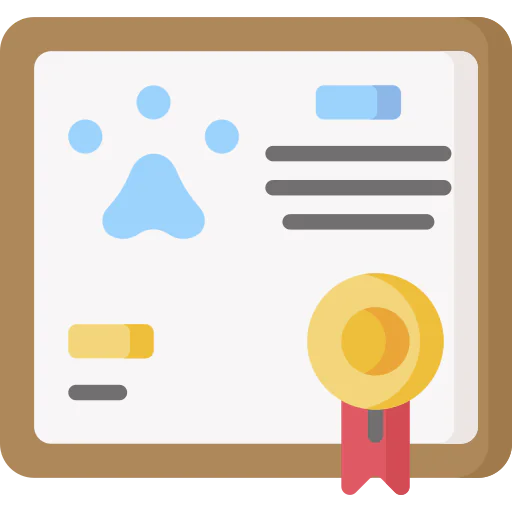 Certificate icon