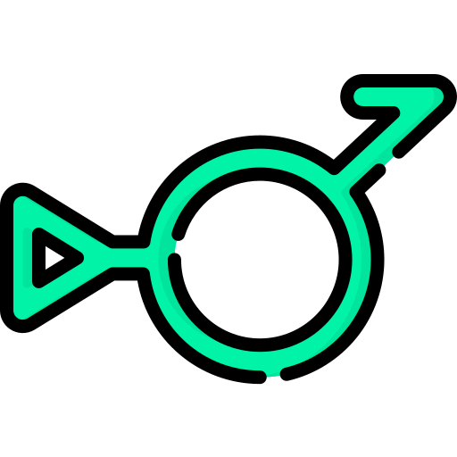 Bigender icon