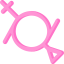 Gender fluid icon 64x64