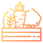 Organic food icon 64x64