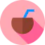 Coconut icon 64x64