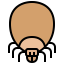 Acari icon 64x64