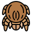 Bug icon 64x64