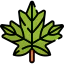 Maple leaf 图标 64x64