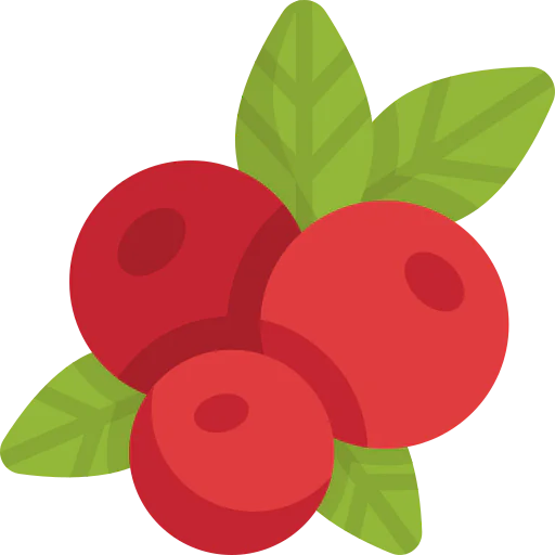Berry icon