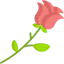 Rose icon 64x64