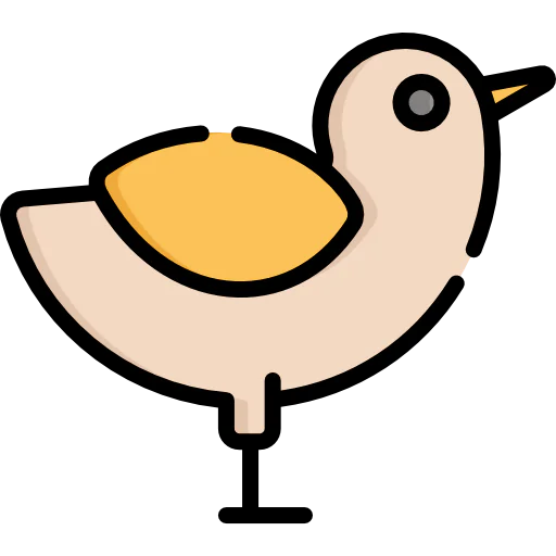 Chicken icon