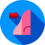 Rhinoplasty icon 64x64