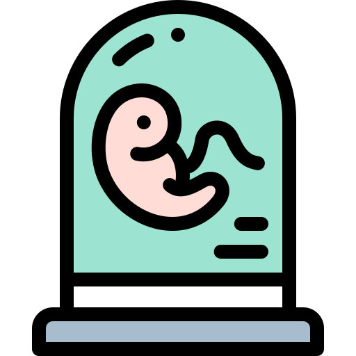 Embryo icon