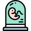 Embryo icon 64x64