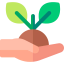 Sprout icon 64x64