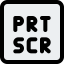 Screenshot icon 64x64