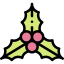 Mistletoe 图标 64x64