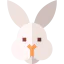 Rabbit Symbol 64x64