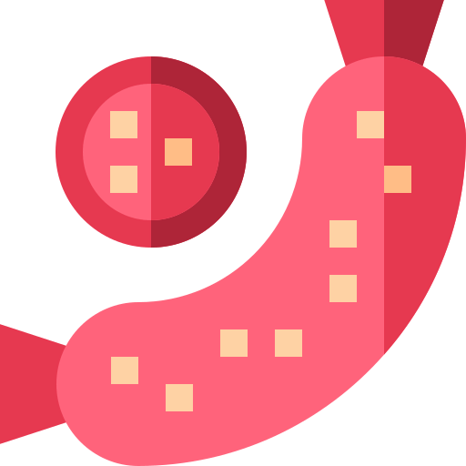 Salami icon