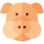 Pig icon 64x64