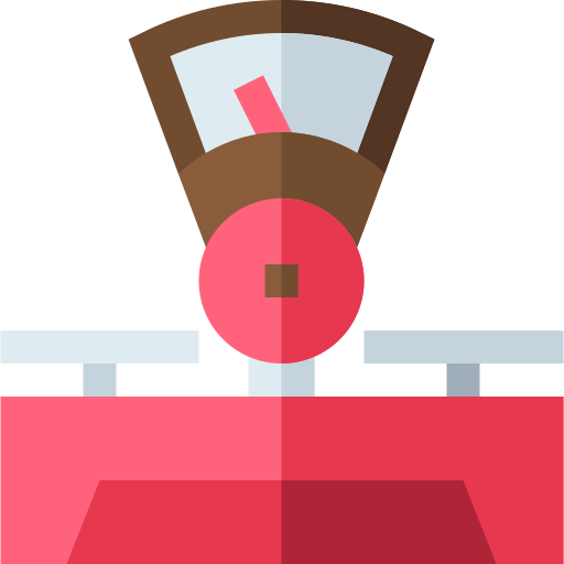 Scale icon