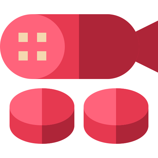 Salami icon