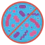 Bacteria icon 64x64