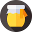 Honey icon 64x64