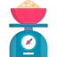 Scale icon 64x64