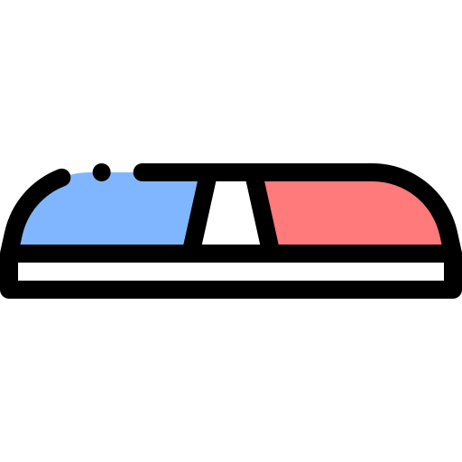 Flash icon