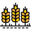 Wheat icon 64x64