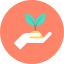 Sprout icon 64x64