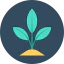 Sprout icon 64x64