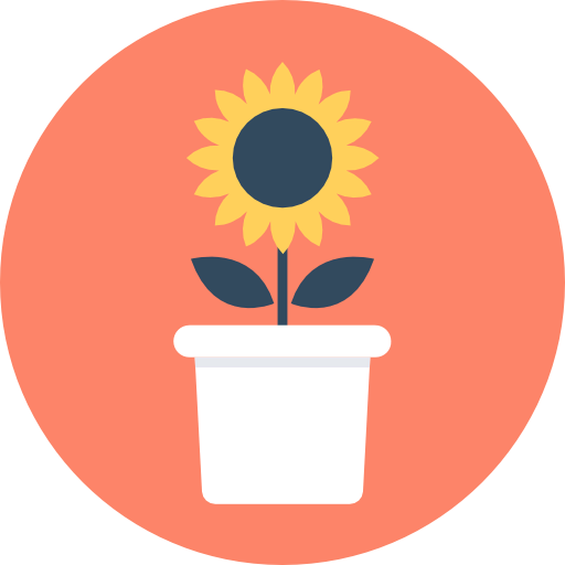 Sunflower icon