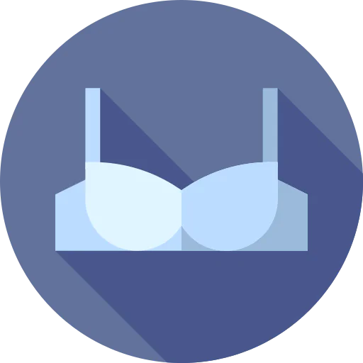 Bra icon
