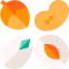 Nuts іконка 64x64