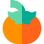 Tomato icon 64x64
