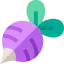 Radish icon 64x64