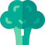 Broccoli biểu tượng 64x64
