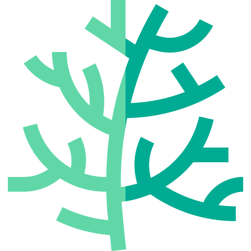 Dill icon