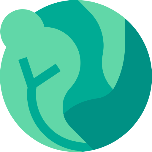 Cabbage icon