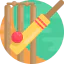 Cricket icon 64x64