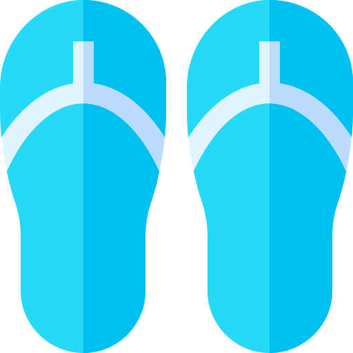 Flip flops icon