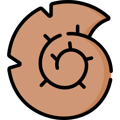 Fossil icon