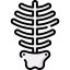 Skeleton biểu tượng 64x64