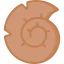 Fossil アイコン 64x64