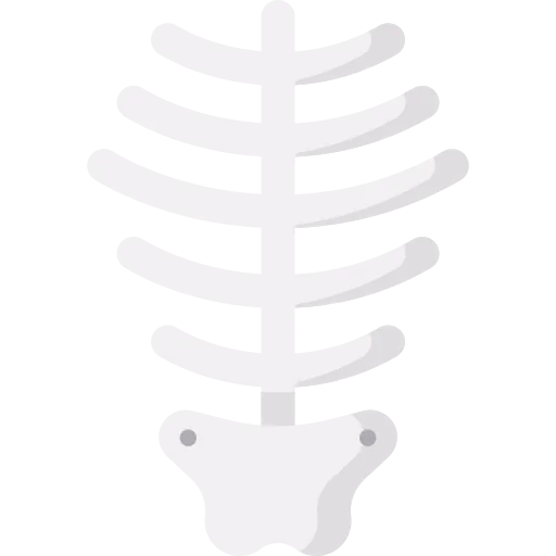 Skeleton icon