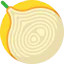 Onion icon 64x64