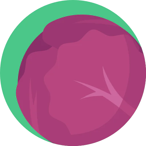 Red cabbage icon