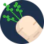 Turnip Ikona 64x64