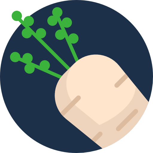 Turnip icon