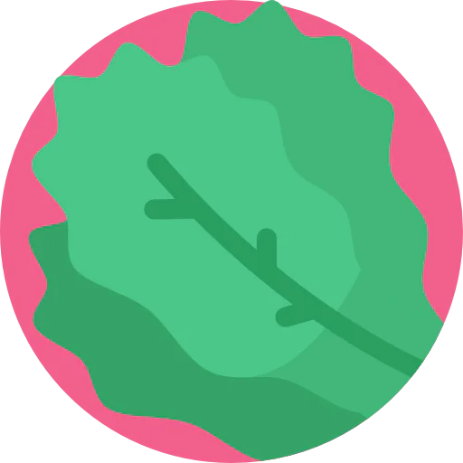 Salad icon